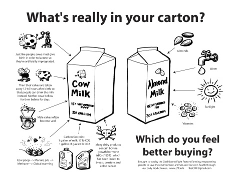 Whats-really-in-your-carton